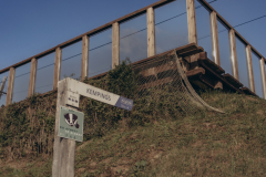 photobyfotografeAnete-3 photobyfotografeAnete-3