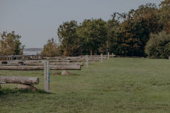 photobyfotografeAnete-30 photobyfotografeAnete-30