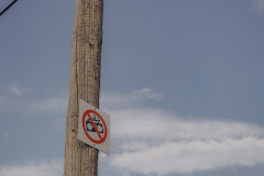 photobyfotografeAnete-33 photobyfotografeAnete-33