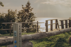 photobyfotografeAnete-34 photobyfotografeAnete-34