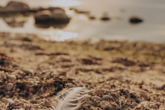 photobyfotografeAnete-52 photobyfotografeAnete-52